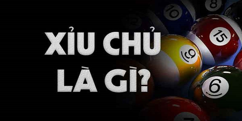 Cùng 77bet giải đáp về xỉu chủ